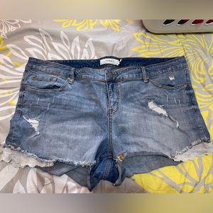 Torrid jean shirts with lace accents